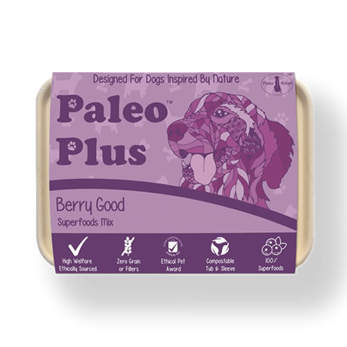 Paleo Plus Berry Good Supplement 500g