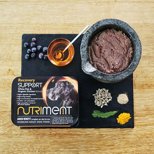 NUTRIMENT SUPPORT RECOVERY