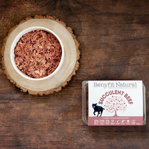 The Benyfit Natural Succulent Beef packaging alongside a dog bowl filled with the product.