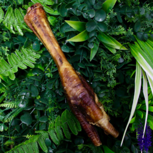 Natural Turkey Foot Air Dried