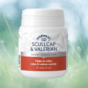 Dorwest SCULLCAP & VALERIAN TABLETS