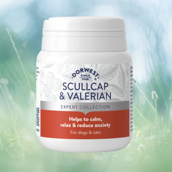 Dorwest SCULLCAP & VALERIAN TABLETS