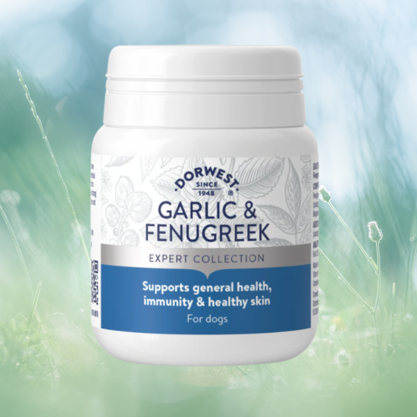 Dorwest Garlic & Fenugreek Tablets For Dogs 100 tabets