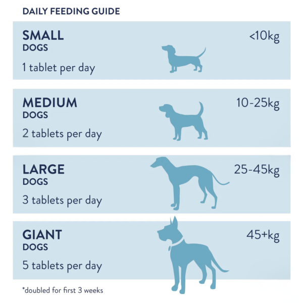 Dorwest Garlic & Fenugreek Tablets For Dogs 100 tabets - Image 2