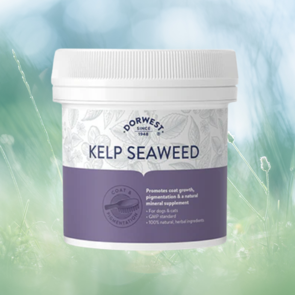 Dorwest Kelp Seaweed Powder For Dogs And Cats 250g