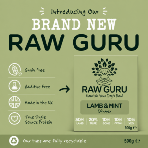 Raw Guru Lamb & Mint Complete Working Dog
